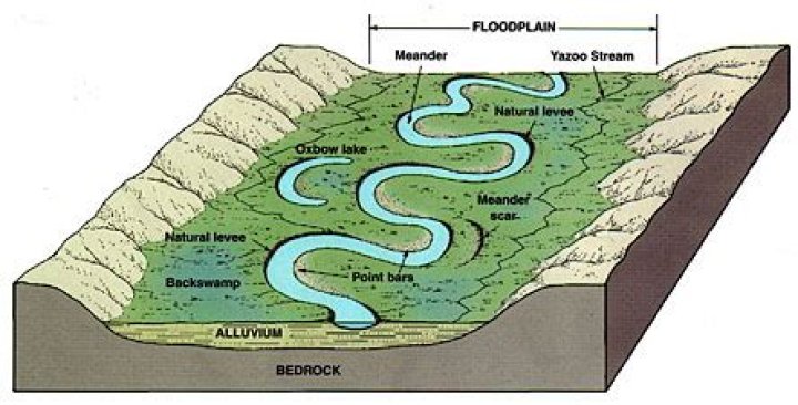 a floodplain forms where a stream