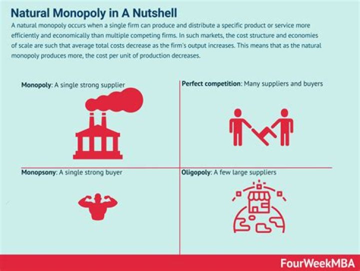 a natural monopoly usually arises when