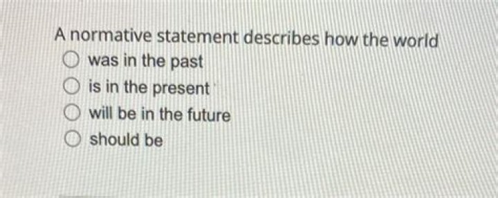 a normative statement describes how the world