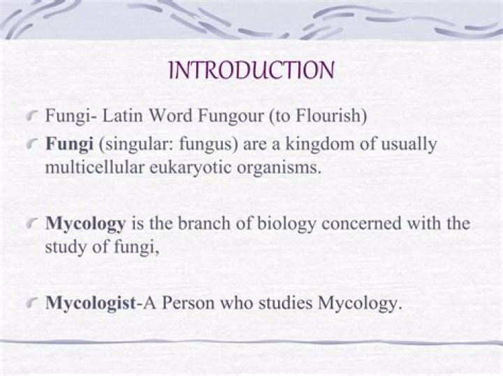 a person who studies fungi