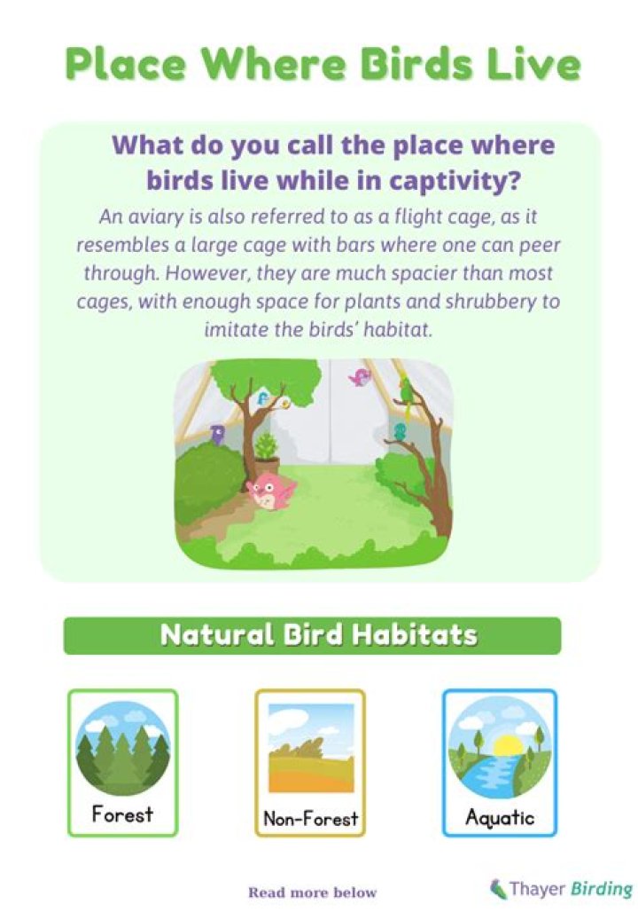 a place where birds live is called