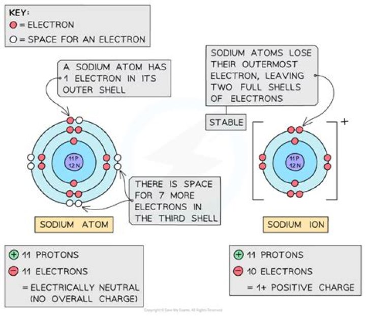 a sodium atom has how many protons