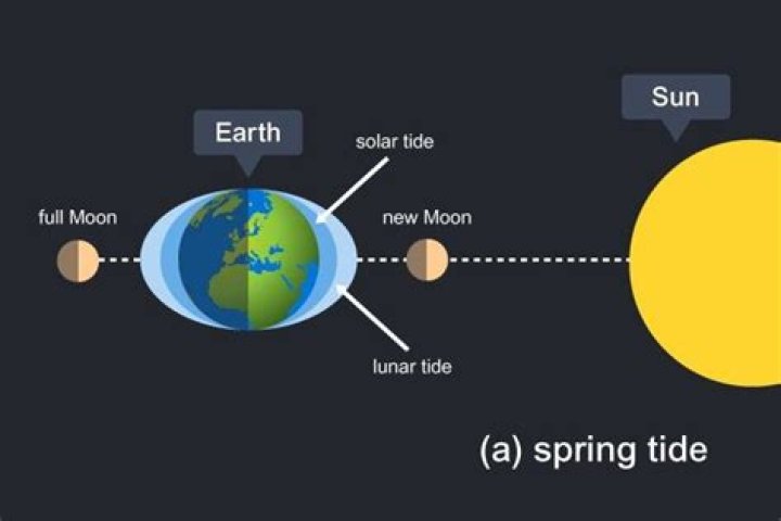 a spring tide occurs when