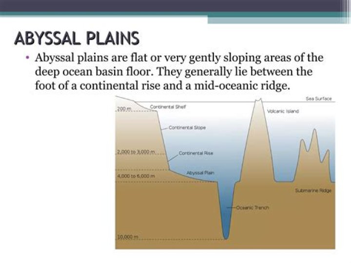 abyssal plains are very flat features that form when