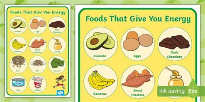 all animals need what to make energy from food