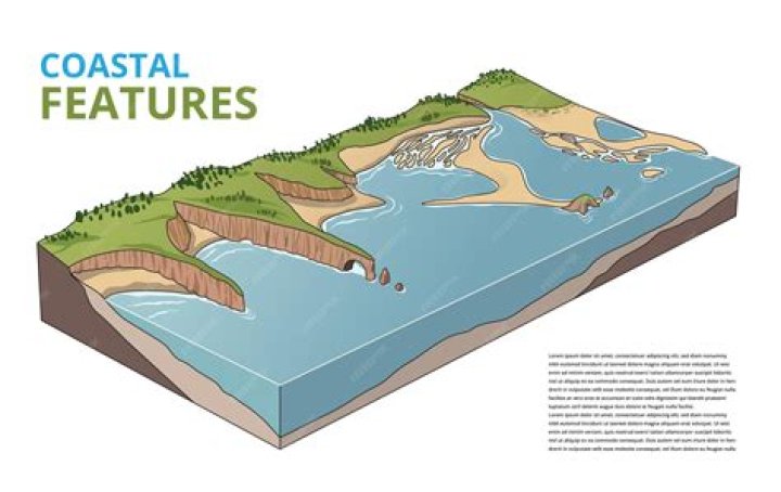 along what type of coastline would a large estuary be most common?