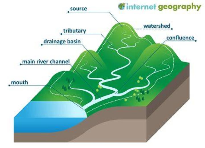an area where a river slows down and spreads out into many smaller channels