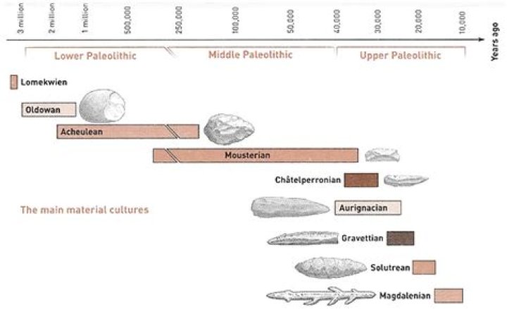 approximately how far back in time does the fossil