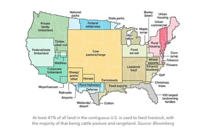 approximately how much of central americaâ€™s agricultural land is used for cattle grazing?