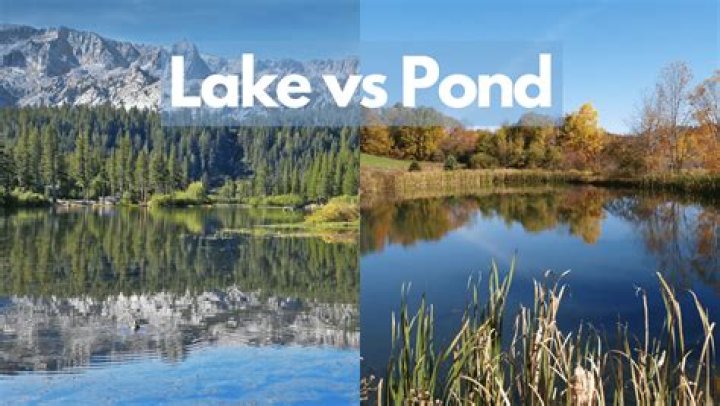 at what point does a pond become a lake