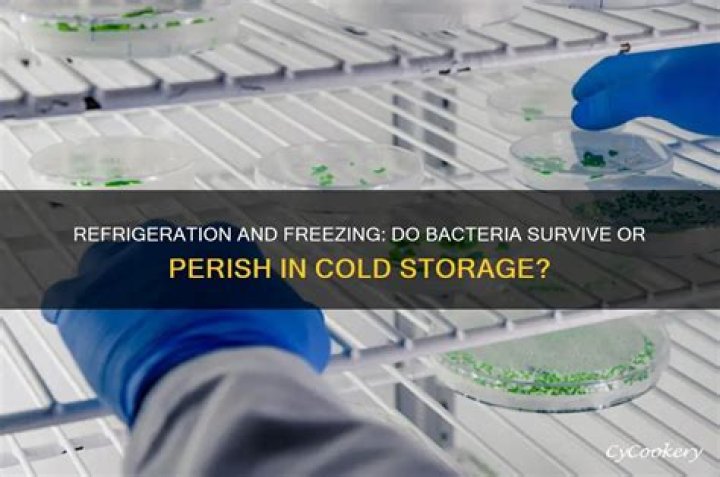 bacteria die when frozen or refrigerated