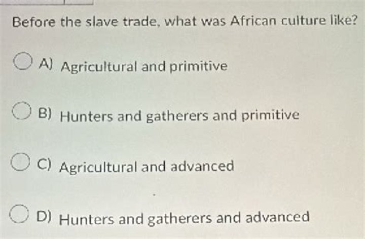 before the slave trade what was african culture like