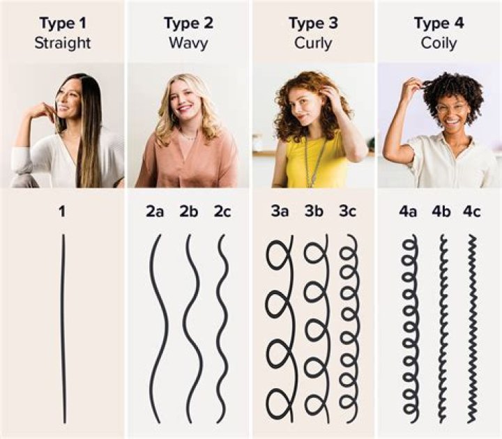differences in traits such as hair texture are determined by differences in what