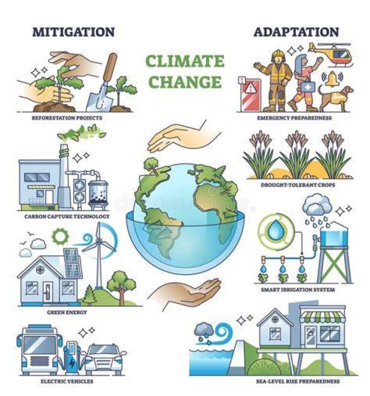 explain how environmental change can lead to adaptation
