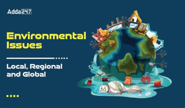 explain how environmental problems can be local, regional, or global