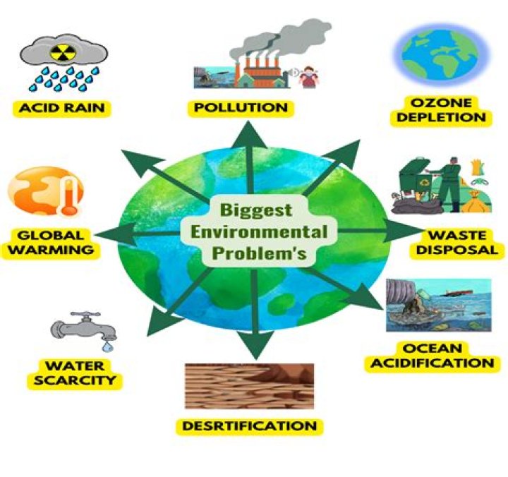 explain how environmental problems can be local