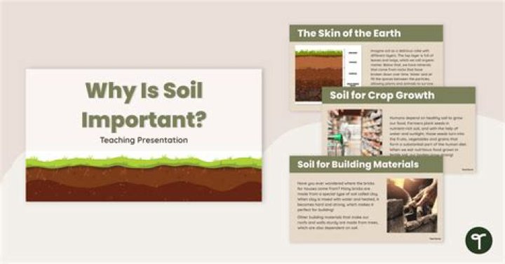 explain how soil is important to animal life