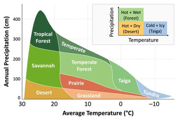 explain how temperature and rainfall affect the distribution of biomes