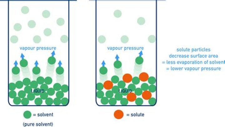 explain how the addition of a solute affects the vapor pressure of the solvent.