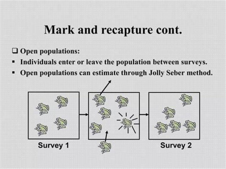 explain how the method of mark and recapture works to determine population size.