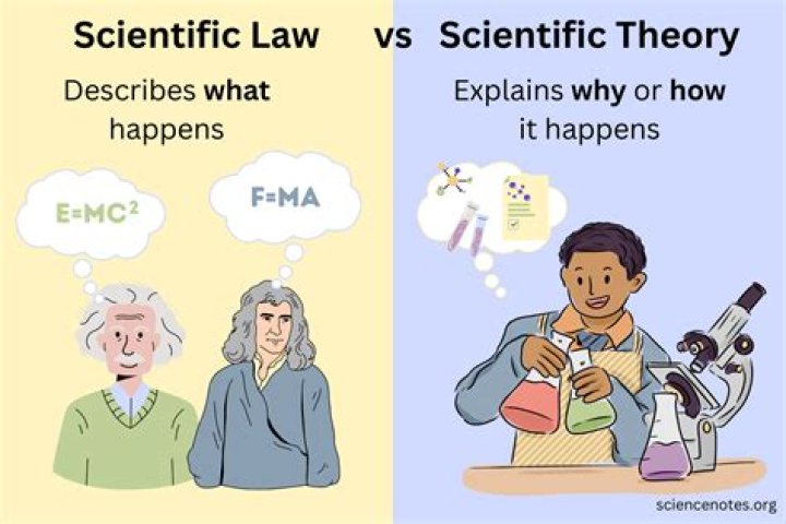explain why a law is accepted as fact, but a theory is not.