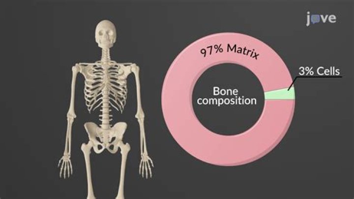 explain why bone mass is lost in space