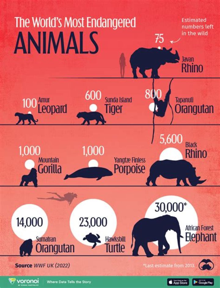 for many species there are often regional differences in what