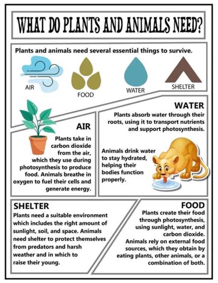 for what do plants and animals need nitrogen