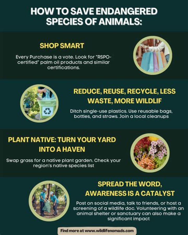 four reasons why we should save endangered species