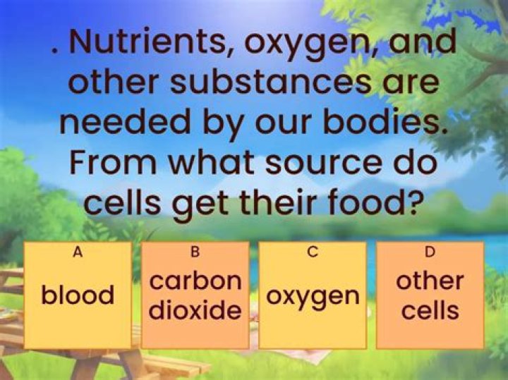 from what source do cells get their food