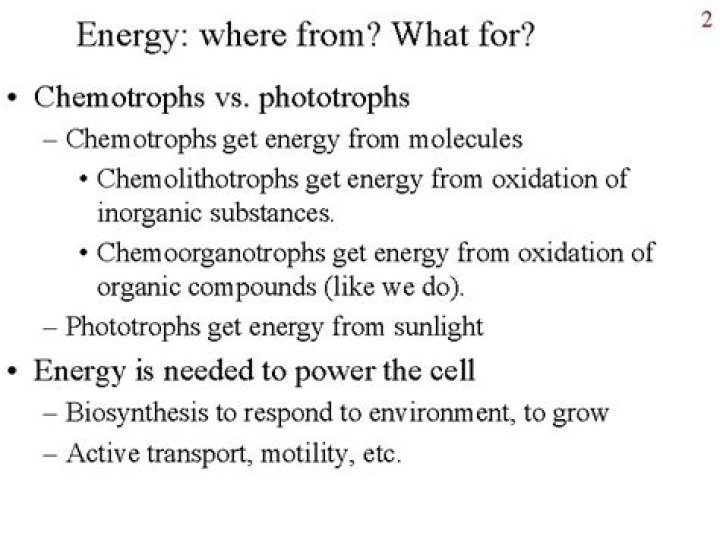 from where do chemotrophs get energy?