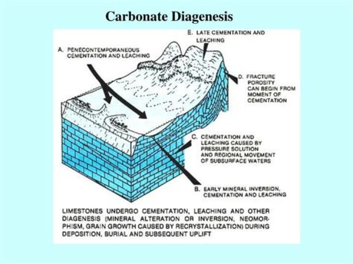 how are carbonate rocks formed