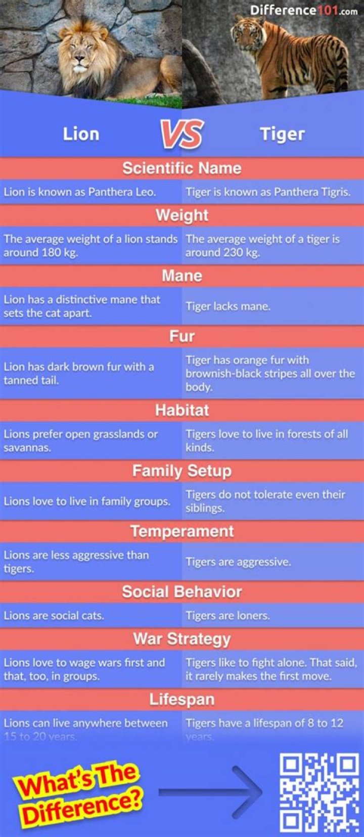 how are lions and tigers different