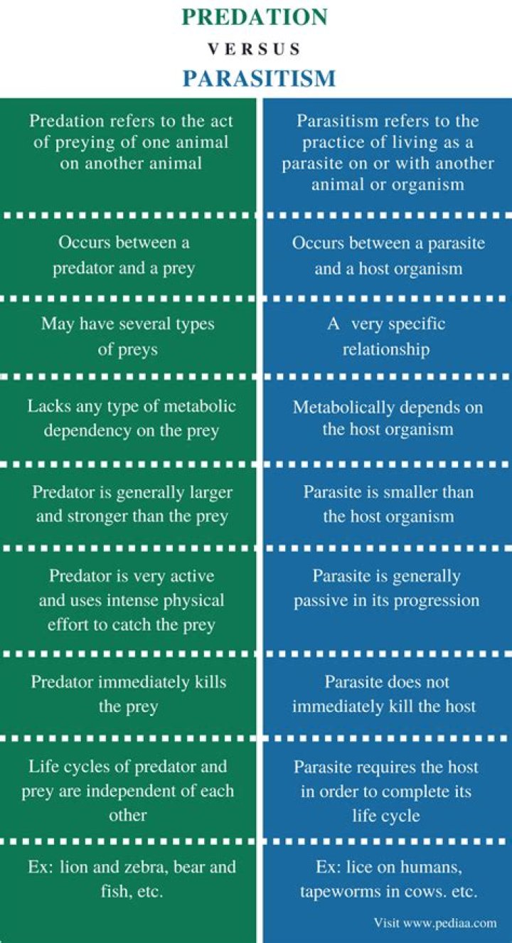 how are predation and parasitism similar