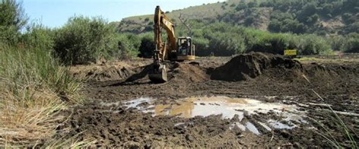 how are wetlands being destroyed