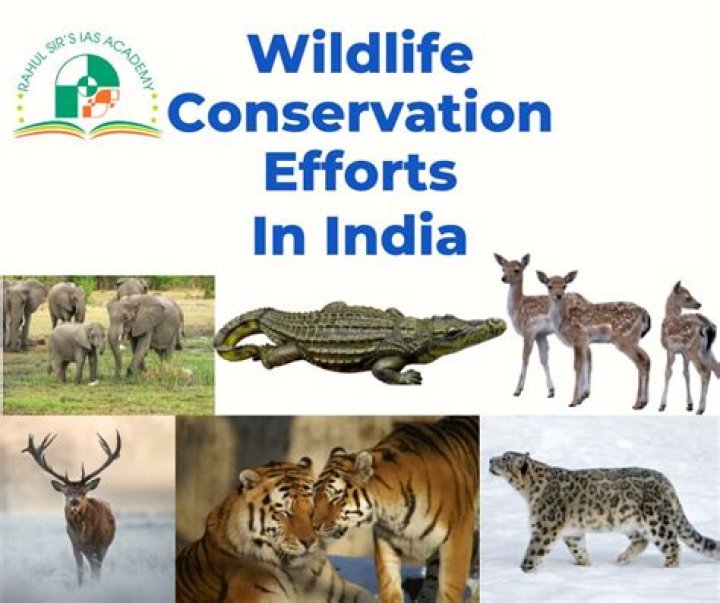 how can a hunter help wildlife conservation efforts