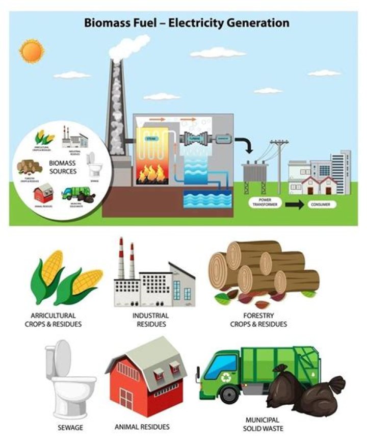 how can biomass energy be negative to the environment