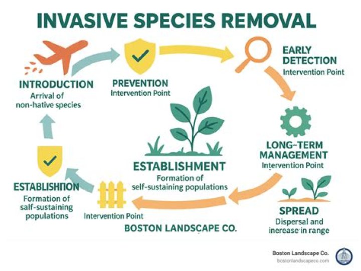 how can we prevent invasive species from spreading