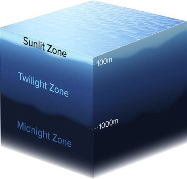 how deep is the euphotic zone