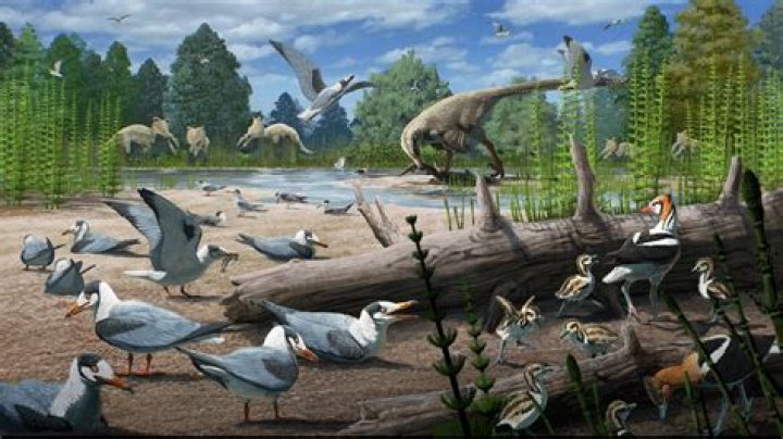 how did animals survive the dinosaur extinction