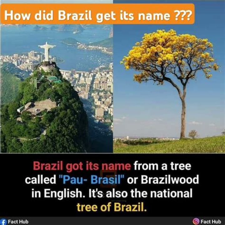 how did brazil get its name