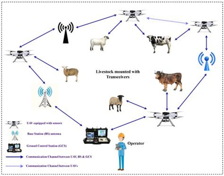 how did farmers observed by charles darwin take advantage of natural variation to improve livestock