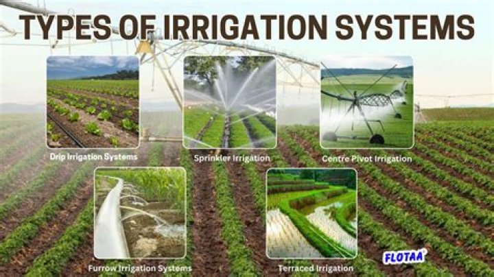 how did irrigation affect sumer