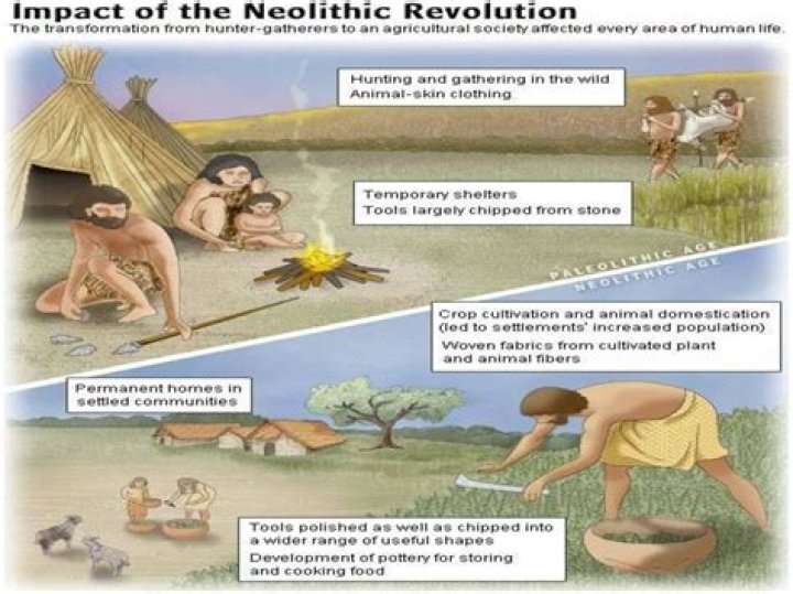 how did paleolithic people adapt to their environment