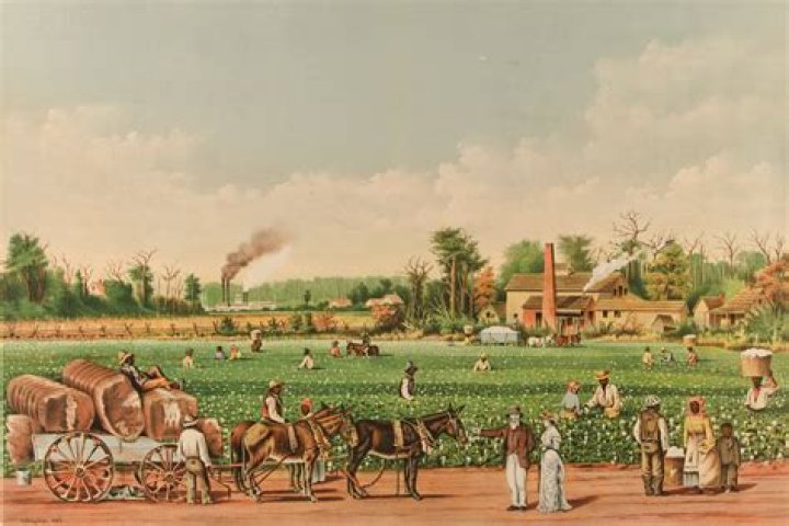 how did plantations affect life in the southern colonies