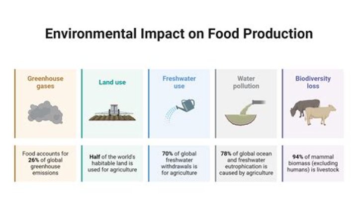 how did the increase in food production benefit the greek economy