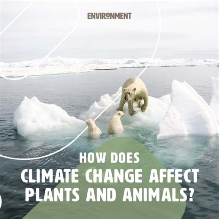 how do animals change the environment