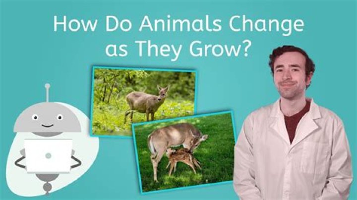 how do animals grow and change