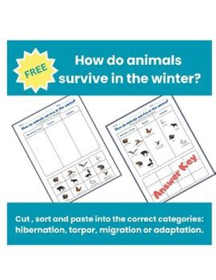 how do animals survive the winter
