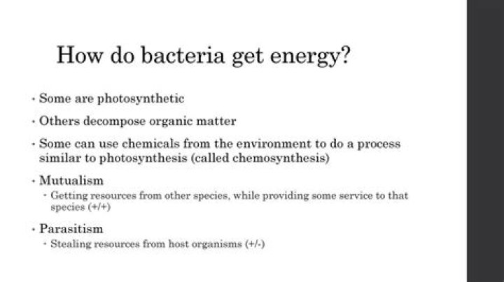 how do bacteria get energy